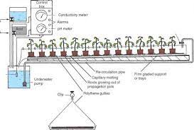 Nutrient Film Technique Nft Horticulture Guide Grovida Gardening