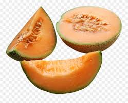 Maybe you would like to learn more about one of these? Cantaloupe Melon Png Clipart 2074564 Pinclipart
