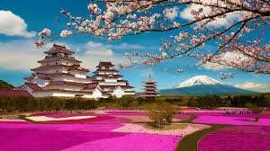 30 Japan Wallpapers Wallpaperboat Find the best japan wallpaper on wallpapertag. 30 japan wallpapers wallpaperboat