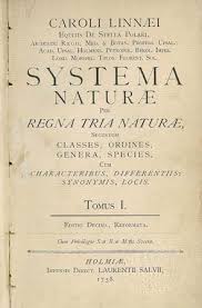 Image result for linnaeus