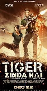Top 20 worldwide best horror movies of 2018 to 2019 according to imdb rating most of movies are in hindi and few are in english. Tiger Zinda Hai 2017 Imdb