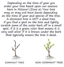 We did not find results for: Black Walnut Tree For Sale Buy Black Walnut Tree Online Weaver Family Farms Nursery