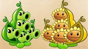 Event Pea Pod Max Level Up System Vs Twin Sunflower Pvz2 In Plants Vs Z Pea Pods Plants Vs Zombies Plants