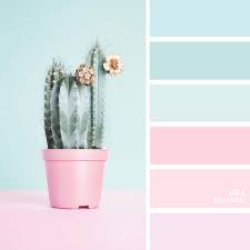 We did not find results for: 19 The Perfect Pink Color Combinations Blush Light Blue Mint Idea Wallpapers Iphone Wallpapers Color Schemes
