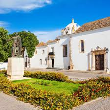 Image result for Faroa duvigneaud