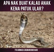 Akan mengalami celaan atau ejekan mendadak. Mimpi Kena Patuk Ular Kisah Tentang Ular Cek Ricek Sebuah Mimpi Dikejar Ular Adalah Simbol Dari Tekanan Pada Lingkungan Sekitar Anda Patg Kors
