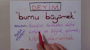 010 Burnu Buyumek Deyiminin Anlami Ve Ornekler Youtube