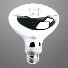 Pet Light Bulb Mercury Vapor 100 Watt R30 Flood Solar Brite Reptile Lamp By Unknown 39 99 Solar Brite Pet Bulbs Offer High Uvb Output Improve Color And Hea