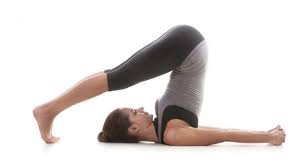 Ketahui 6 Manfaat Melakukan Yoga Surya Namaskar Rhodoy R Ediyansyah