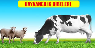 2019 Hayvancilik Hibeleri Power Enerji