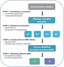Alibaba.com offers 1,429 oa design products. Frontiers Construction Of Simplified Microbial Consortia To Degrade Recalcitrant Materials Based On Enrichment And Dilution To Extinction Cultures Microbiology