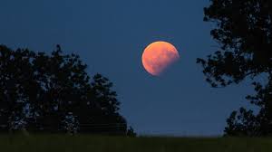 Gespiegelt wurde uns das durch die vielen rückläufigen planeten, und immerhin laufen venus und merkur wieder direkt. Partielle Mondfinsternis Ihre Bilder Vom 7 August 2017 Sternenhimmel Br Wissen