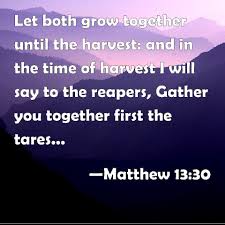 Matthew 13 30 Let Both Grow Together Until The Harvest And In The Time Of Harvest I Will Say To The Reapers Gather You Together F Grow Together Words Sayings