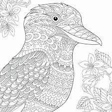 Birds Coloring Pages For Adults Best Of Australia Coloring Page Highendpaper Peacock Coloring Pages Bird Coloring Pages Coloring Books