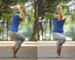 Krishnamacharya used vinyasa in at least two different ways. Eagle Pose For Clairty And Vision Ayurveda At Aolrc
