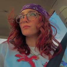 Landscape design software for native plants?