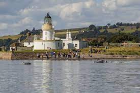 View all attractions near chanonry point on tripadvisor Dolphin Bus Deal Is Done To Connect Places On Black Isle Near Inverness