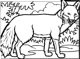 Download and print free free printable fox coloring pages. Drawing Fox 14977 Animals Printable Coloring Pages