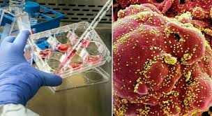 Juli man wolle viele menschenleben dadurch retten, indem man während der verlängerung weitere millionen personen impfen werde. N7myuusbr87glm