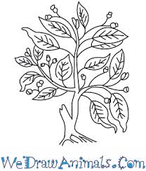 You can also have a competition where the children have to make the best use of their creative talent to fill the pages with their choice of colors and then recount. How To Draw A Fig Tree