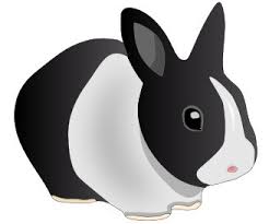 Check spelling or type a new query. Free Rabbits Clipart Free Clipart Graphics Images And Photos 2 Cliparting Com
