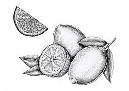 Pin On Drawings