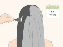Golden blonde highlights go a long way, ladies. How To Dye Black Hair Brown With Pictures Wikihow