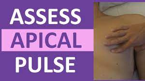 What is used to take the. Apical Pulse Assessment Location Nursing Auscultate And Palpate Apical Pulse Youtube