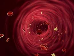 Buse j.b., bergenstal r.m., glass l.c., heilmann c.r. Glucagon Injection Kit