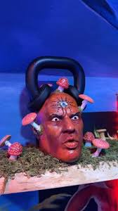 Where to Find Unique Fitness Equipment