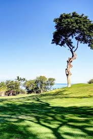 Image result for Emerald Green 1994 Shadow