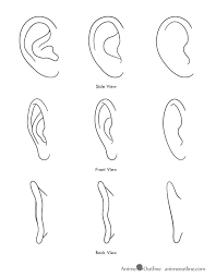 Or does that move the wax farther inside your ear? How To Draw Anime And Manga Ears Animeoutline