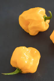 Maybe you would like to learn more about one of these? Chili Pepper Types A List Of Chili Peppers And Their Heat Levels Chili Pepper Madness