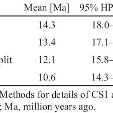 Image result for Dielsiothamnus divaricatus