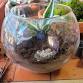 Halloween Terrarium Workshop & Alpaca Meet event image
