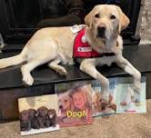 Read to the Library Dog