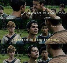 Newtmas Pictures Memes Moo Maze Runner Funny Maze Runner Maze Runner Imagines