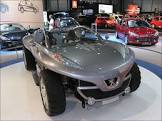 PEUGEOT-HOGGAR