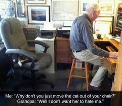 A guy contacted me on fb marketplace to buy our kitchen chairs. Dopl3r Com Memes Me Why Dont You Just Move The Cat Out Of Your Chair Grandpa Well I Dont Want Her To Hate Me