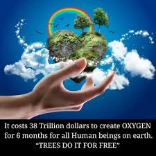 Take Care Of Our Mother Earth Save Mother Earth Poster Earth Day Earth