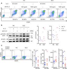 Rita mendes loves travel, adventure, variety and meeting new people, and she longs to experience with her upbeat and often inspiring personality, rita mendes makes friends easily and attracts people. Frontiers Double Edged Sword Interleukin 2 Promotes T Regulatory Cell Differentiation But Also Expands Interleukin 13 And Interferon G Producing Cd8 T Cells Via Stat6 Gata 3 Axis In Systemic Lupus Erythematosus Immunology