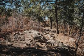 Anna's Ridge , New Mexico : Off-Road Trail Map & Photos