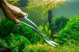 Jual beli akuarium/aquarium, aksesoris aquascape, ikan, pompa, filter, hiasan & coral harga murah di bukalaak garansi uang kembali 100%. 5 Cara Membuat Aquascape Sederhana Di Rumah Mudah Kok