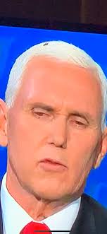 Dawn Humphrey (@Cutetexun)