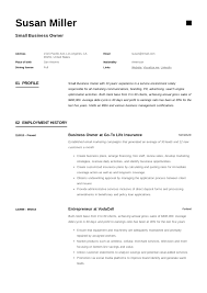 Small Business Owner Resume Guide 19 Examples Pdf 2020