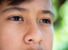 KAMEHAMEHA SCHOOLS 2019 ANNUAL REPORT