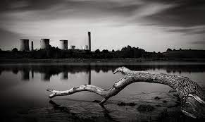 Balance is an important concept for balance in photography makes the composition feel natural and stable. Five Kinds Of Photography Balance You Need To Understand To Take Appealing Photographs Student Resources