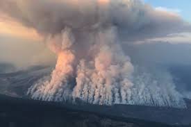 Jun 05, 2021 · bc timber sales had previously logged in the salisbury creek area so there was already a main road, kestell said. 2017 Elephant Hill Wildfire Most Likely Caused By Smoking Materials Saanich News