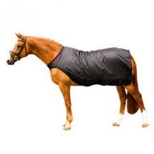 To propose changes, submit edits for review. Pferdeladen Online De Back On Track Fuhrmaschinendecke Online Kaufen Shopping Reiten Reitshop