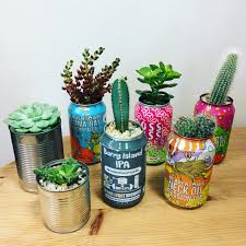 Cacti And Succulents In Craft Beer Cans And Tins Craft Beer Shop Beer Decorations Beer Shop